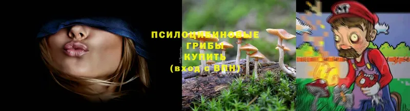 Галлюциногенные грибы Cubensis  как найти   omg   Артёмовск 